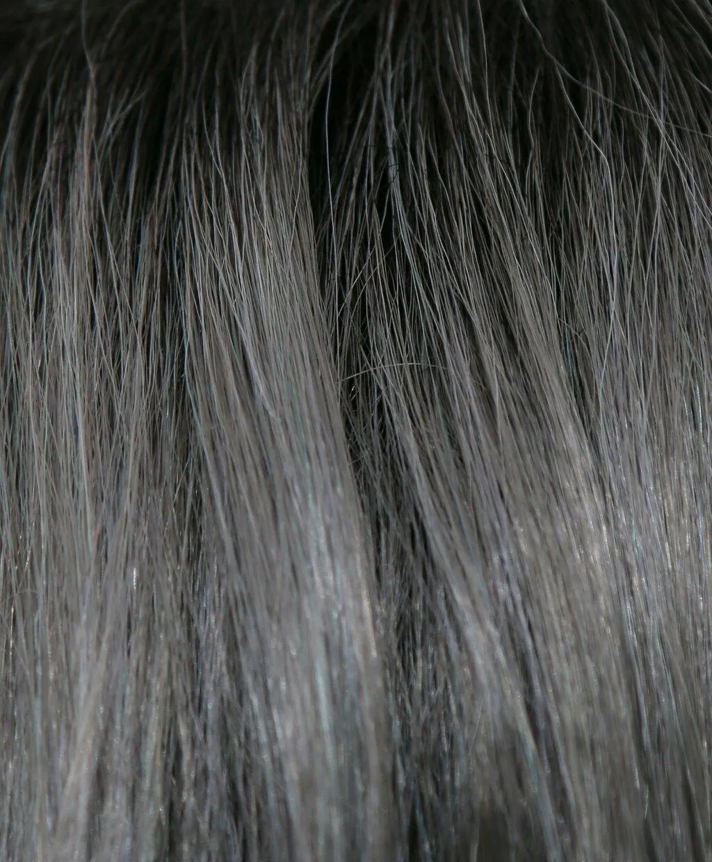 Accessories_Rene Of Paris_Wigs Adeline Wig by Rene of Paris | Synthetic (Traditional Cap)