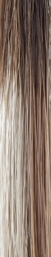 Accessories_Rene of Paris_Wigs Amara Synthetic Wig by Rene of Paris | Alexander Couture Collection