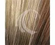Accessories_Rene Of Paris_Wigs Amara Wig by Rene of Paris | Synthetic
