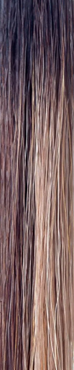 Accessories_Rene Of Paris_Wigs Angelica Wig by Noriko | Synthetic
