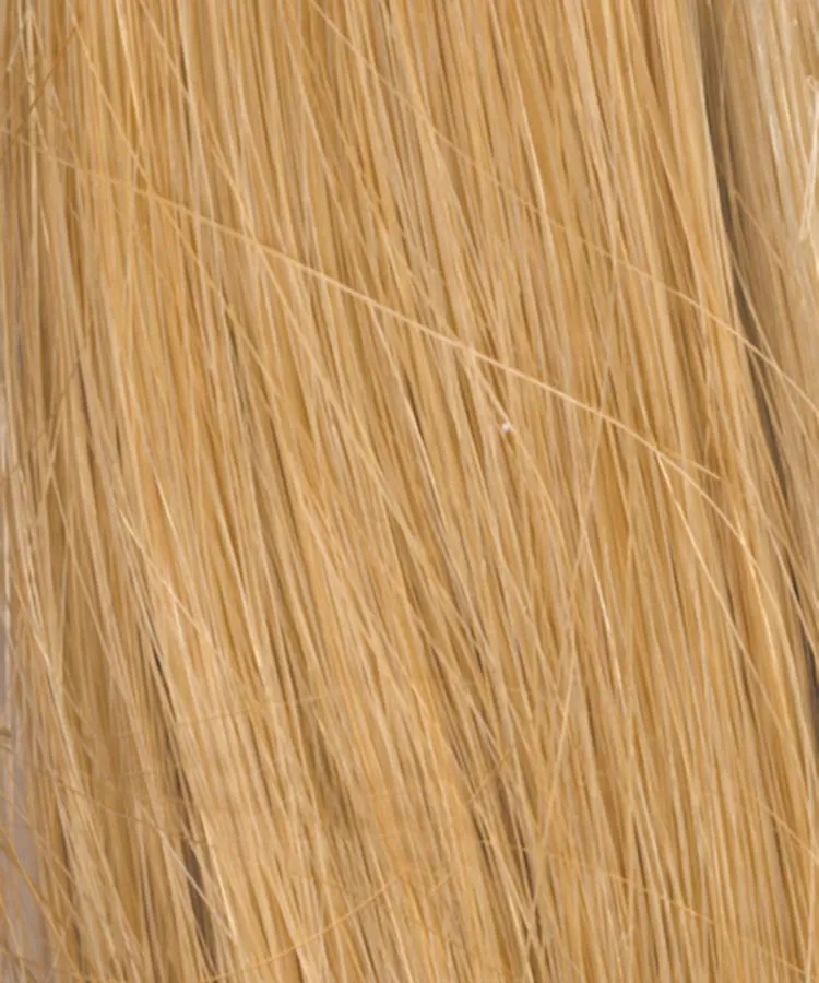 Accessories_Rene Of Paris_Wigs Bravo Wig by Raquel Welch | Human Hair Hair | Average Cap