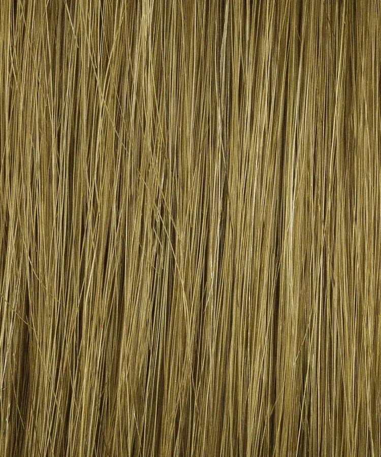 Accessories_Rene Of Paris_Wigs Bravo Wig by Raquel Welch | Human Hair Hair | Average Cap