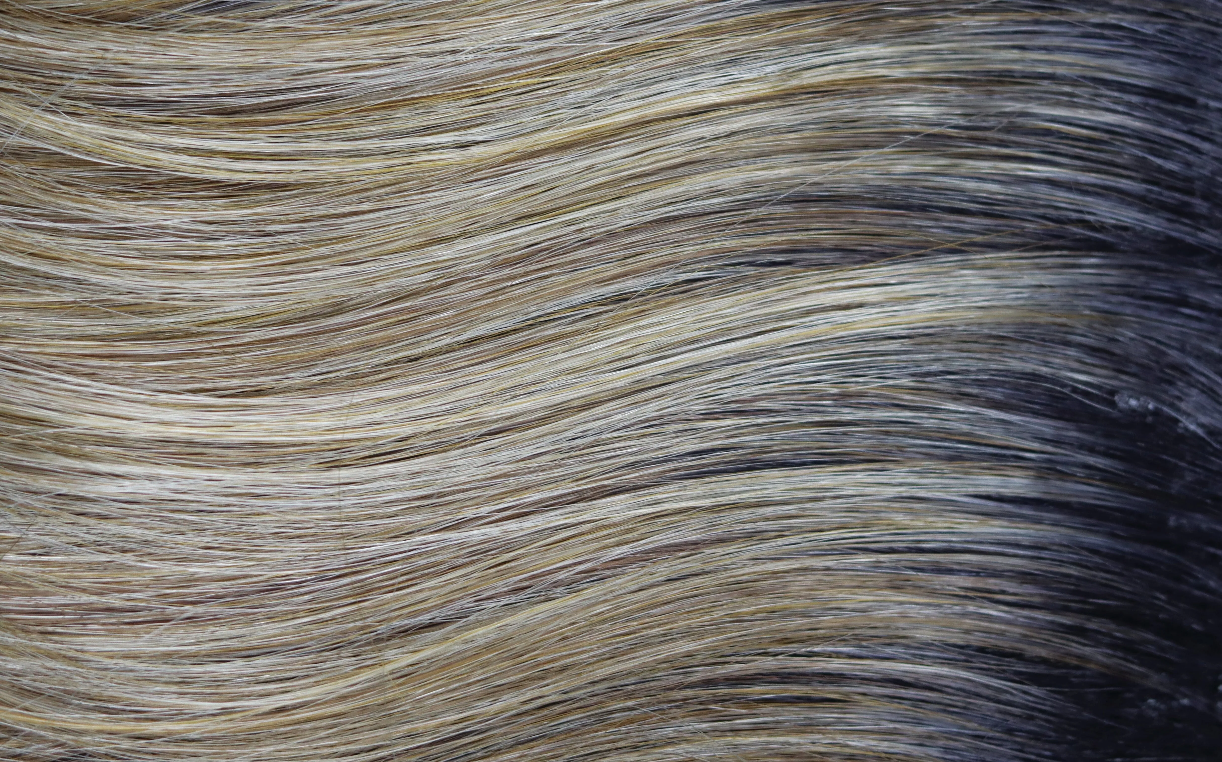 Accessories_Rene of Paris_Wigs Carter Lace Front Wig by Rene of Paris | The Orchid Collection