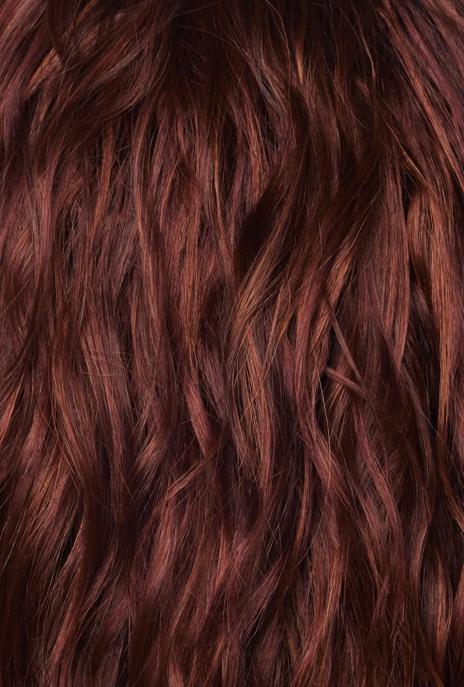 Accessories_Rene of Paris_Wigs Charlotte Wig by Rene of Paris | Alexander Couture Collection