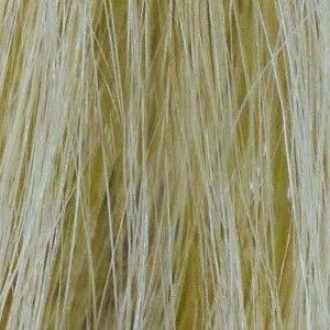 Accessories_Rene Of Paris_Wigs Diamond Top Piece by Amore | Human Hair (Mono)
