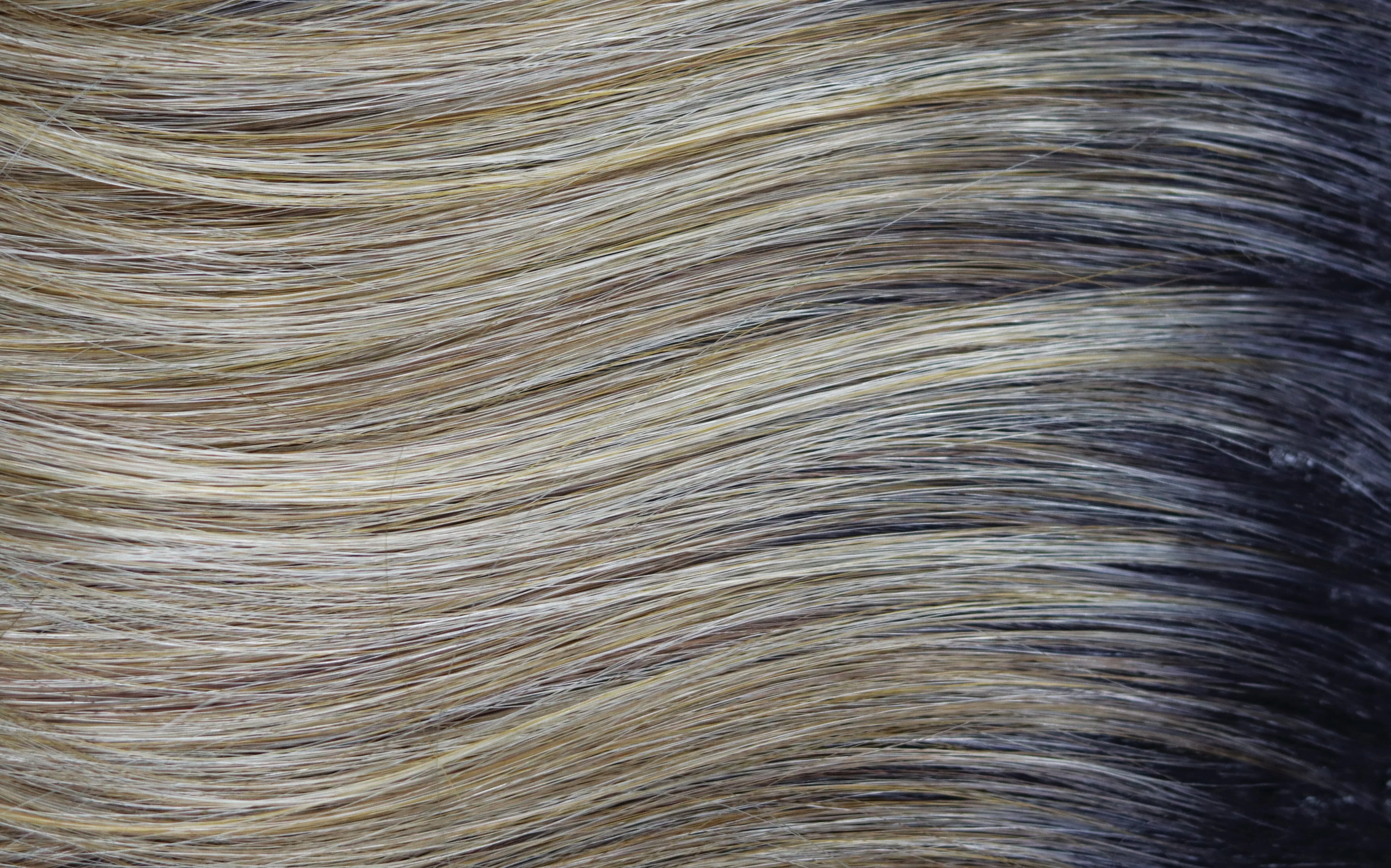 Accessories_Rene of Paris_Wigs Ensley TP Synthetic Top Piece by Rene of Paris | Orchid Collection