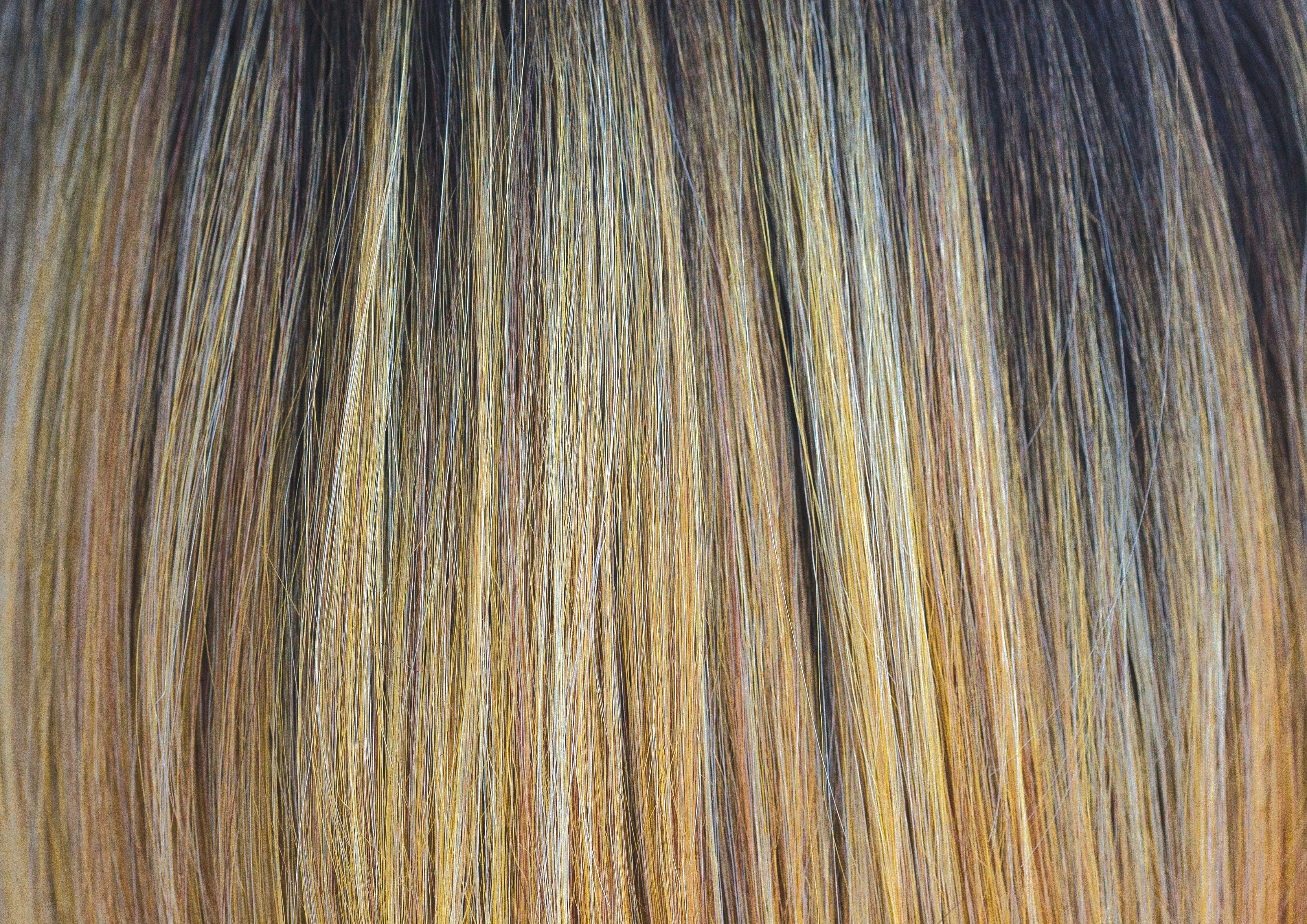 Accessories_Rene of Paris_Wigs Envious Heat Friendly Wig by Rene of Paris | The Orchid Collection