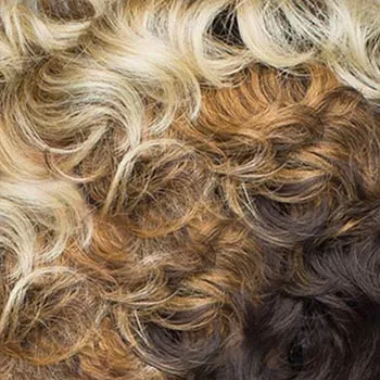 Accessories_Rene Of Paris_Wigs Flawless