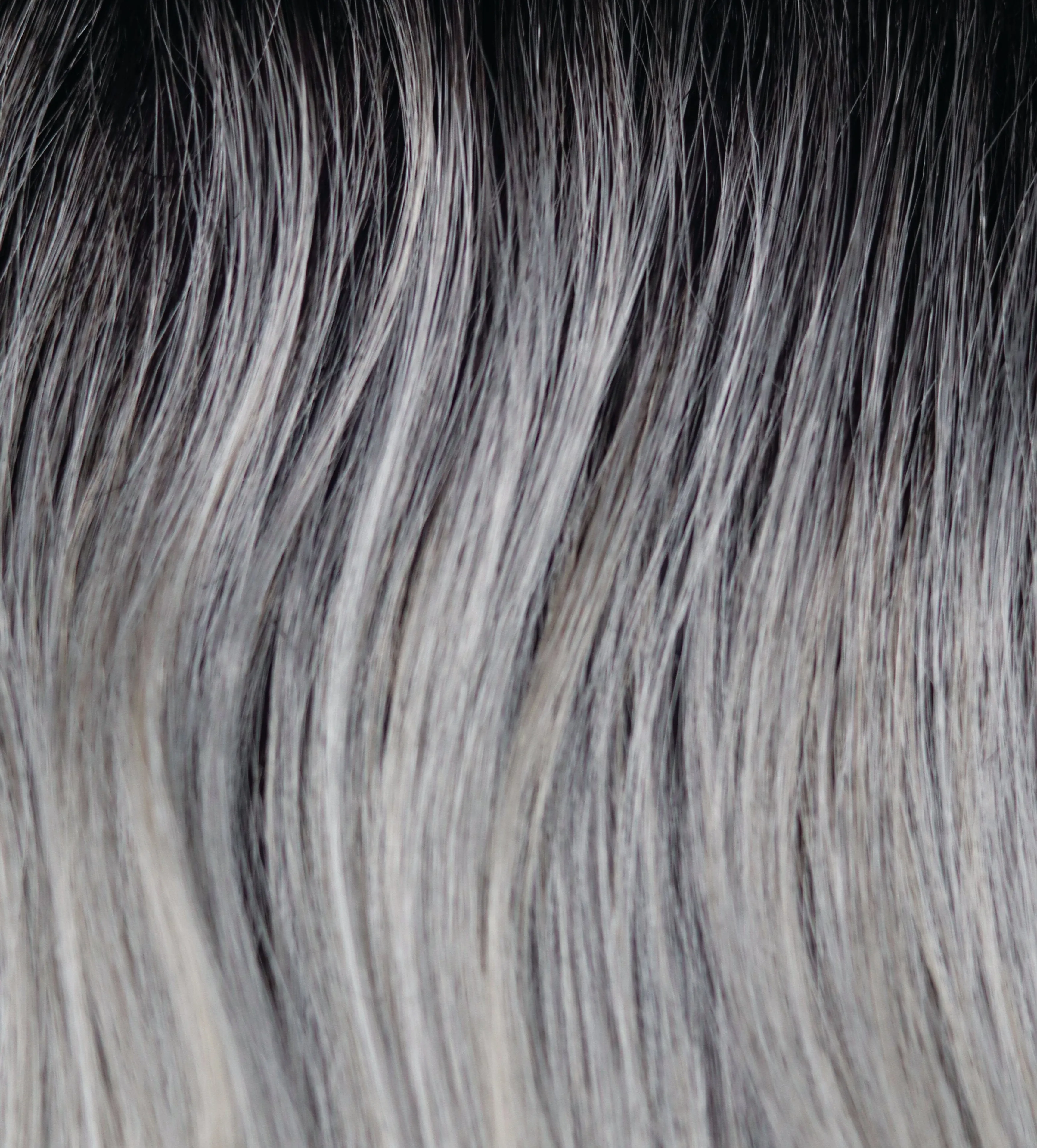 Accessories_Rene of Paris_Wigs Jodie Lace Front Wig by Rene of Paris | Orchid Collection
