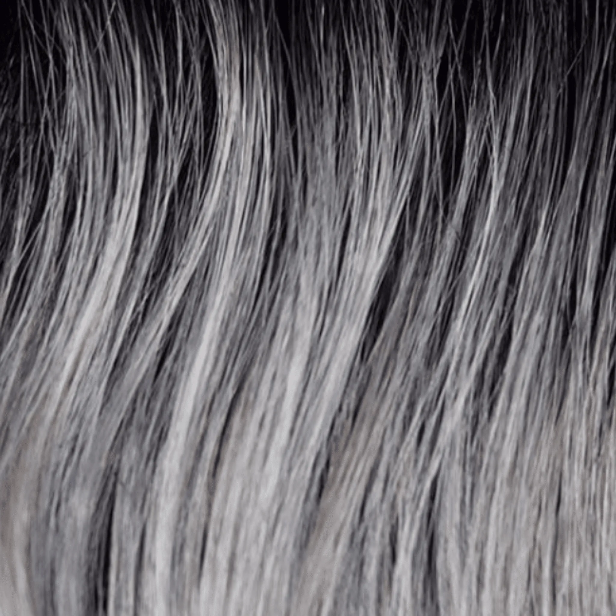 Accessories_Rene of Paris_Wigs Marion Lace Front Synthetic Wig by Rene of Paris | Orchid Collection