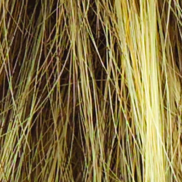 Accessories_Rene Of Paris_Wigs Miles of Style Wig by Raquel Welch | Synthetic Hair | Average Cap