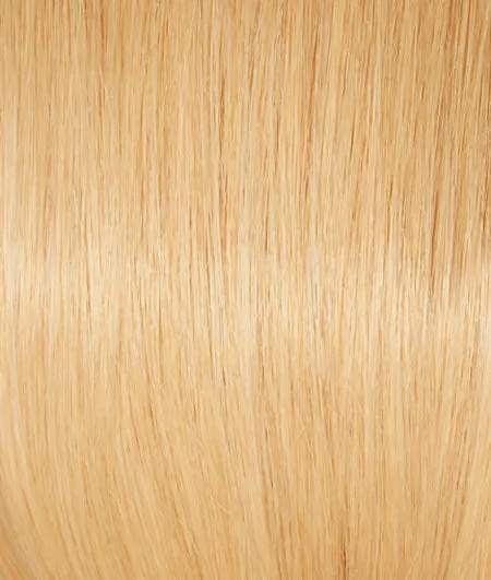 Accessories_Rene Of Paris_Wigs On Key 16" Topper by Raquel Welch | Human Hair