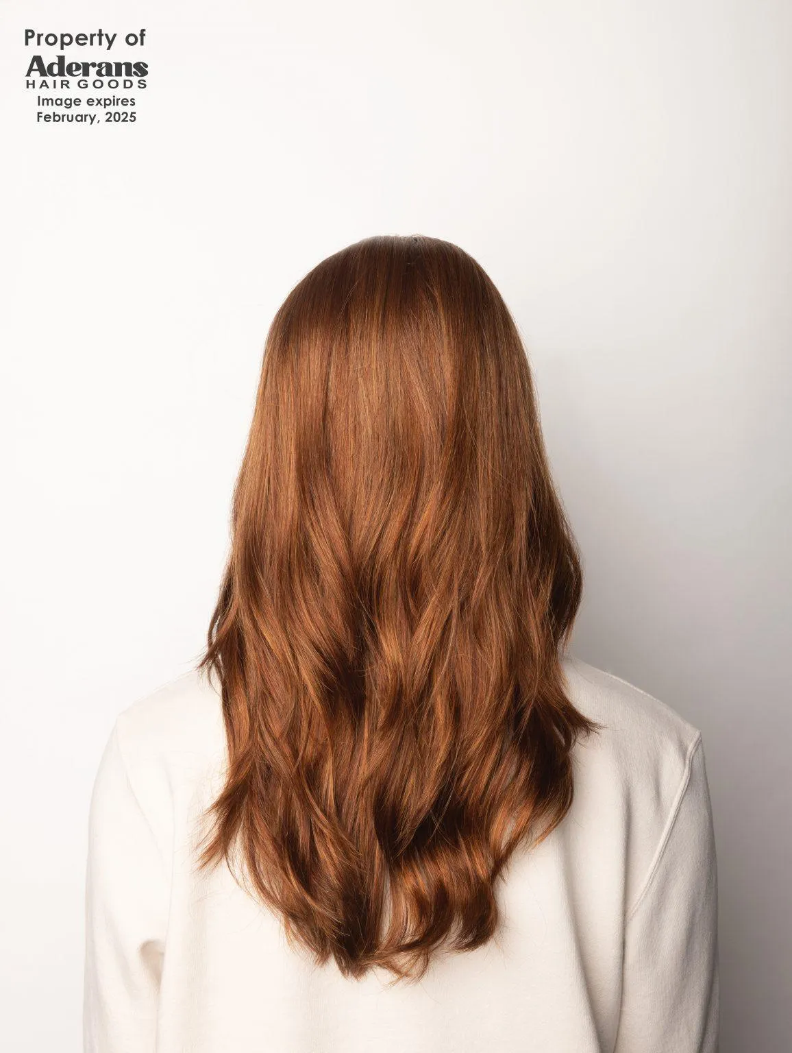 Accessories_Rene Of Paris_Wigs Sage Wig by Rene of Paris | Synthetic Lace Front (Mono Part)
