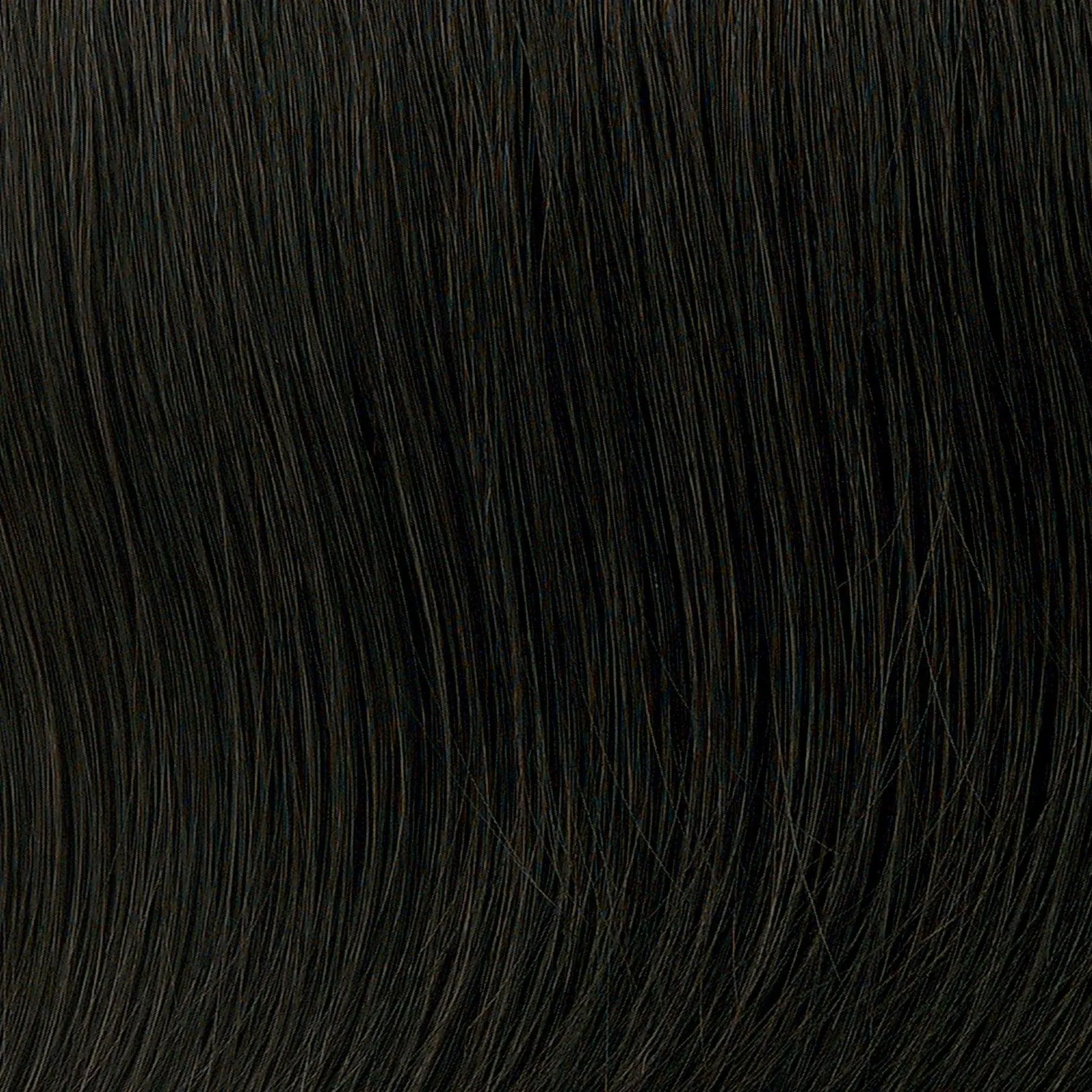 Accessories_Toni Brattin_Wigs Dynasty Large Wig by Toni Brattin | Heat Friendly Synthetic (Basic Cap)