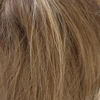 Angelica wig - Noriko