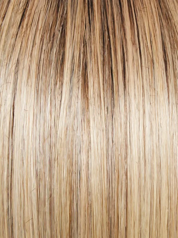 Beaming Beauty Wig by Gabor | Heat Friendly Synthetic Hair | Average Cap