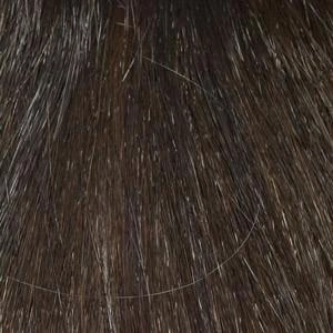 Belinda Wig by Envy | Synthetic (Lace Front Mono Part)