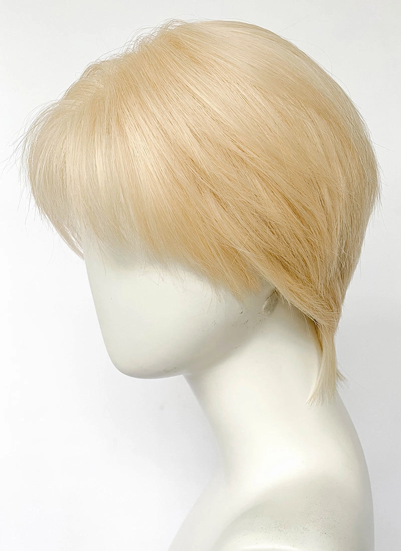 Blonde Straight Lace Front Synthetic Hair Men's Wig LF8026