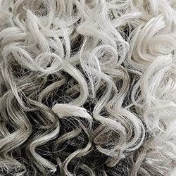 Born To Shine Wig by Raquel Welch | Synthetic Lace Front