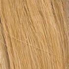 Bravo wig - Raquel Welch Black Label Human Hair Collection