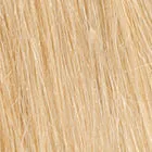 Bravo wig - Raquel Welch Black Label Human Hair Collection