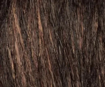 Brynn wig - Envy Collection