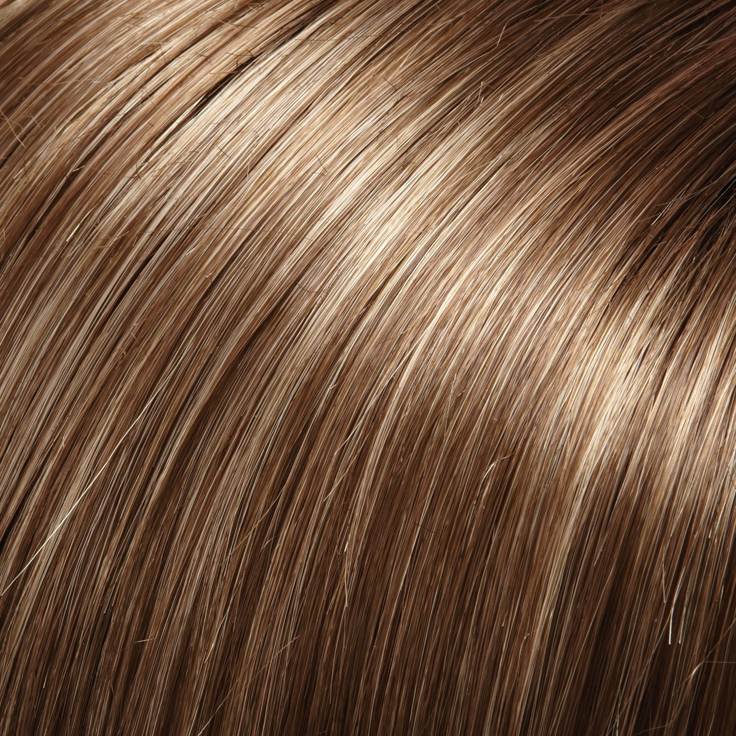 Cameron Large Wig by Jon Renau | Large Cap | Synthetic Fiber