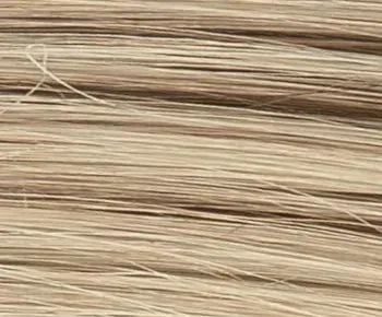 Carol wig - Ellen Wille Hairpower Collection