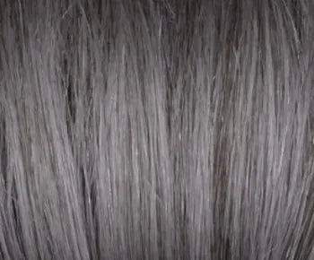 Carson wig - Rene of Paris Hi-Fashion