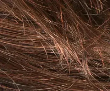 Cat wig - Ellen Wille Hairpower Collection