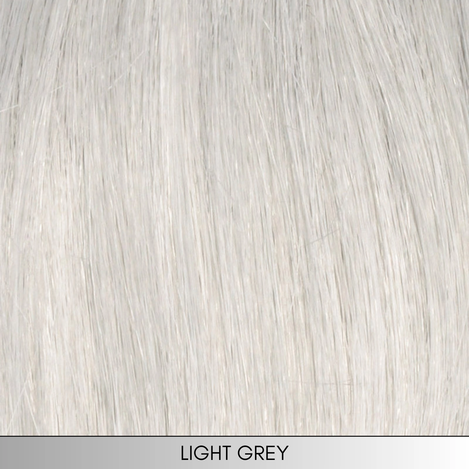 Charlotte - Synthetic Wig Collection by Envy