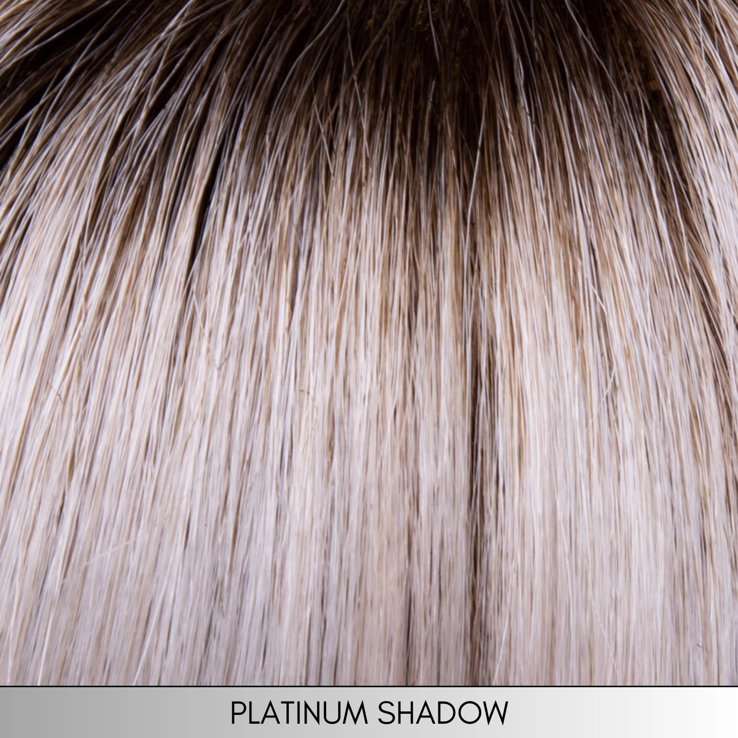 Charlotte - Synthetic Wig Collection by Envy