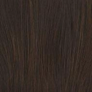 Crowd Pleaser wig - Raquel Welch