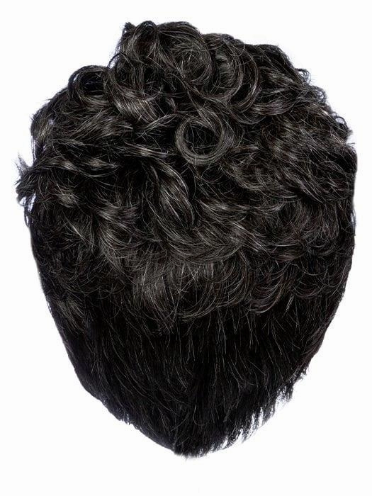 Dignified Wig by HIM | Synthetic Lace Front (Mono Top)