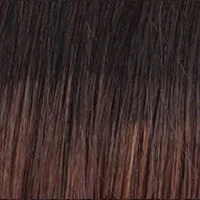 Down Time wig - Raquel Welch