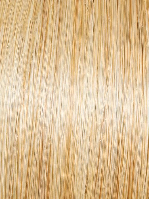Elation Wig by Gabor | Heat Friendly Synthetic (Basic Cap)