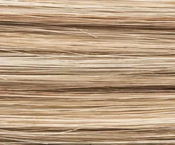 Elite Small Mono Part wig - Ellen Wille Hairpower Collection