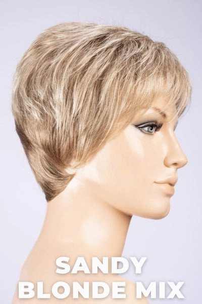 Ellen Wille Wigs - Zizi