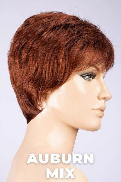 Ellen Wille Wigs - Zizi