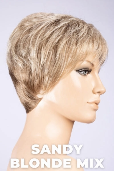 Ellen Wille Wigs - Zizi