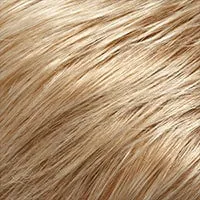 Evan wig - SmartLace Collection Jon Renau