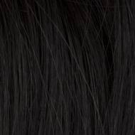 Express Mono wig - Gisela Mayer