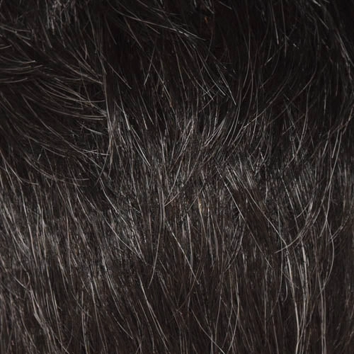 Felicity Wig by WigPro | Synthetic Fiber