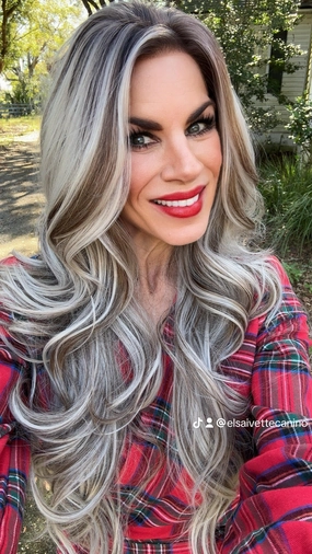 IMstyle Kayla Siver with Brown highlight Big layer lace wig 13*4 free Parting Daily Dating Wig (ELSA)