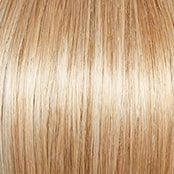 Innuendo Wig by Gabor | Synthetic (Traditional Cap)