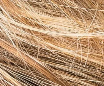 Java wig - Ellen Wille Perucci Collection