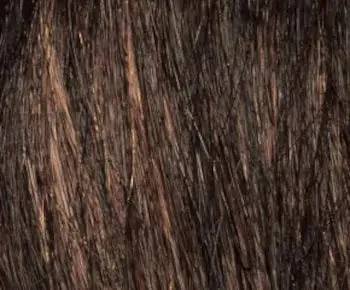 Jeannie wig - Envy Collection