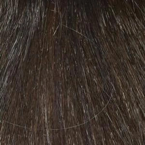 Jeannie Wig by Envy | Synthetic (Mono Top)