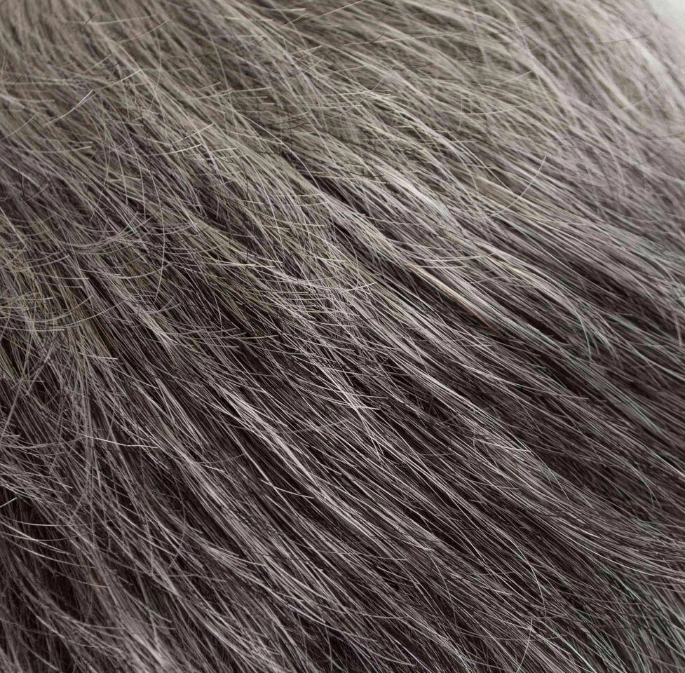 Jewel Wig by Tony of Beverly | Synthetic Wig (Traditional Cap)