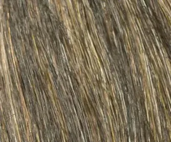 Kitana wig - Envy Collection